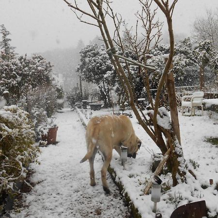 La Mare Aux Fees Bed & Breakfast Huelgoat Exterior foto