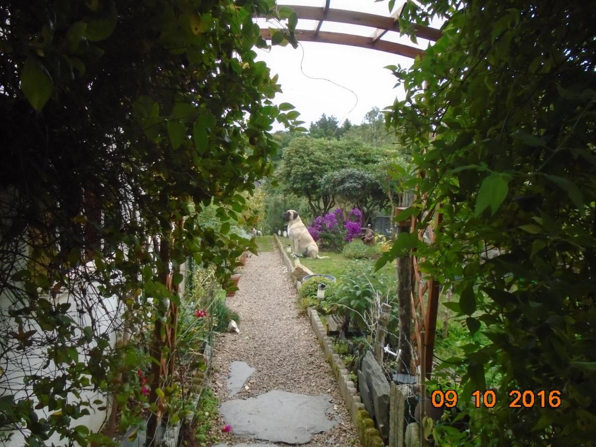 La Mare Aux Fees Bed & Breakfast Huelgoat Exterior foto