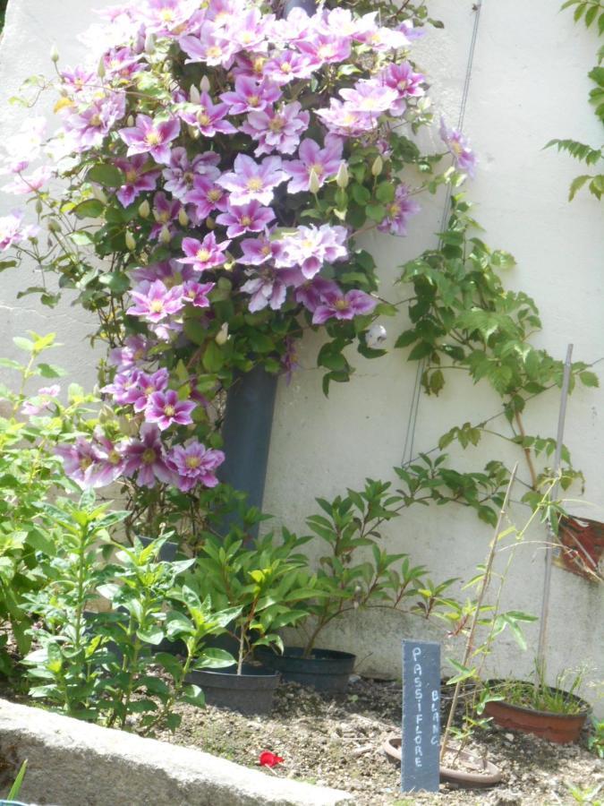 La Mare Aux Fees Bed & Breakfast Huelgoat Exterior foto